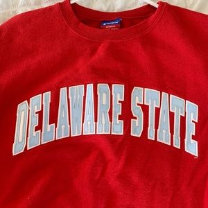 Champion Delaware State Oversized Crewneck